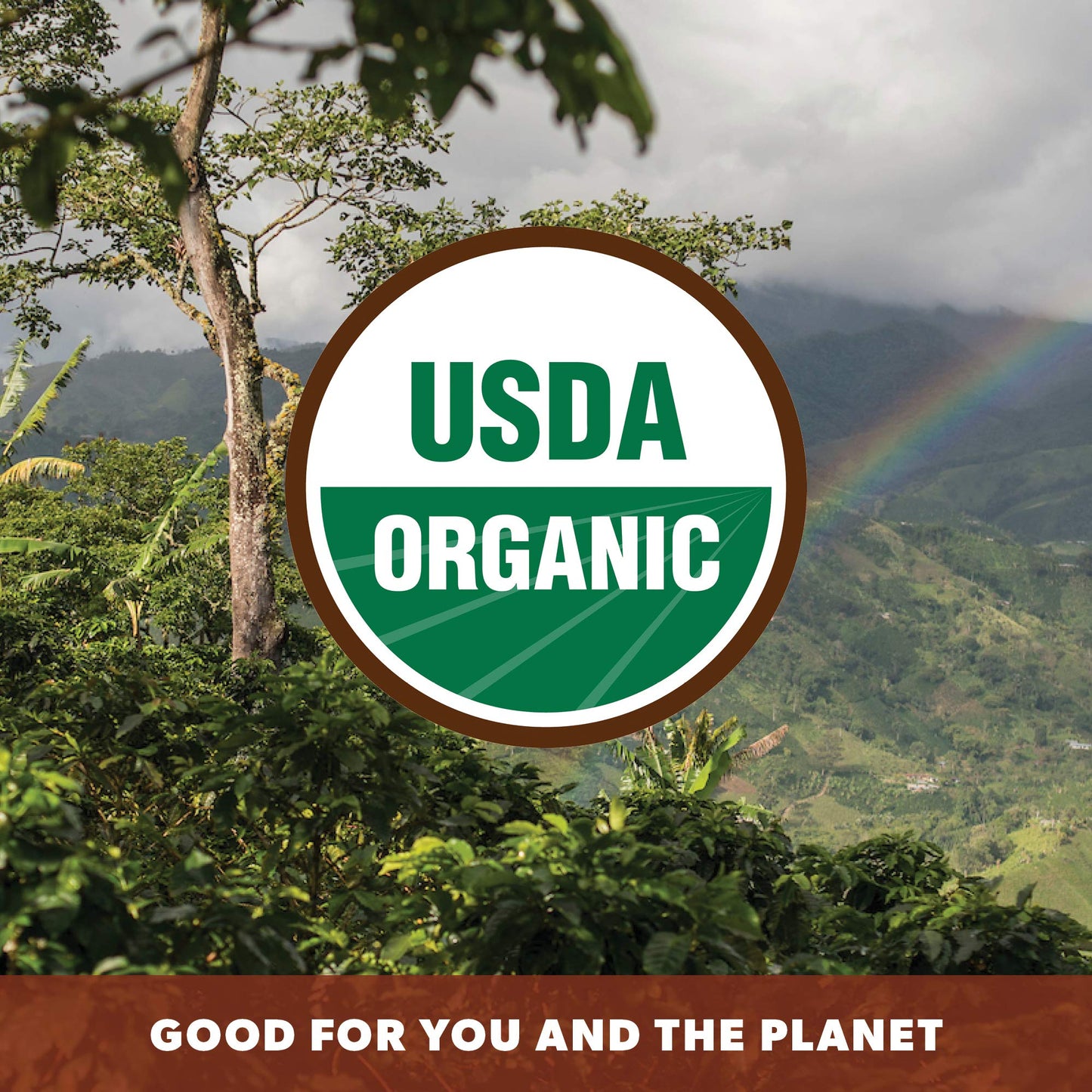 Low Acid Organic Coffee - Whole Bean, Mold-Free & Stomach Friendly by Java Planet, Coconut and Hazelnut, Medium Dark Roast, Arabica Gourmet Coffee