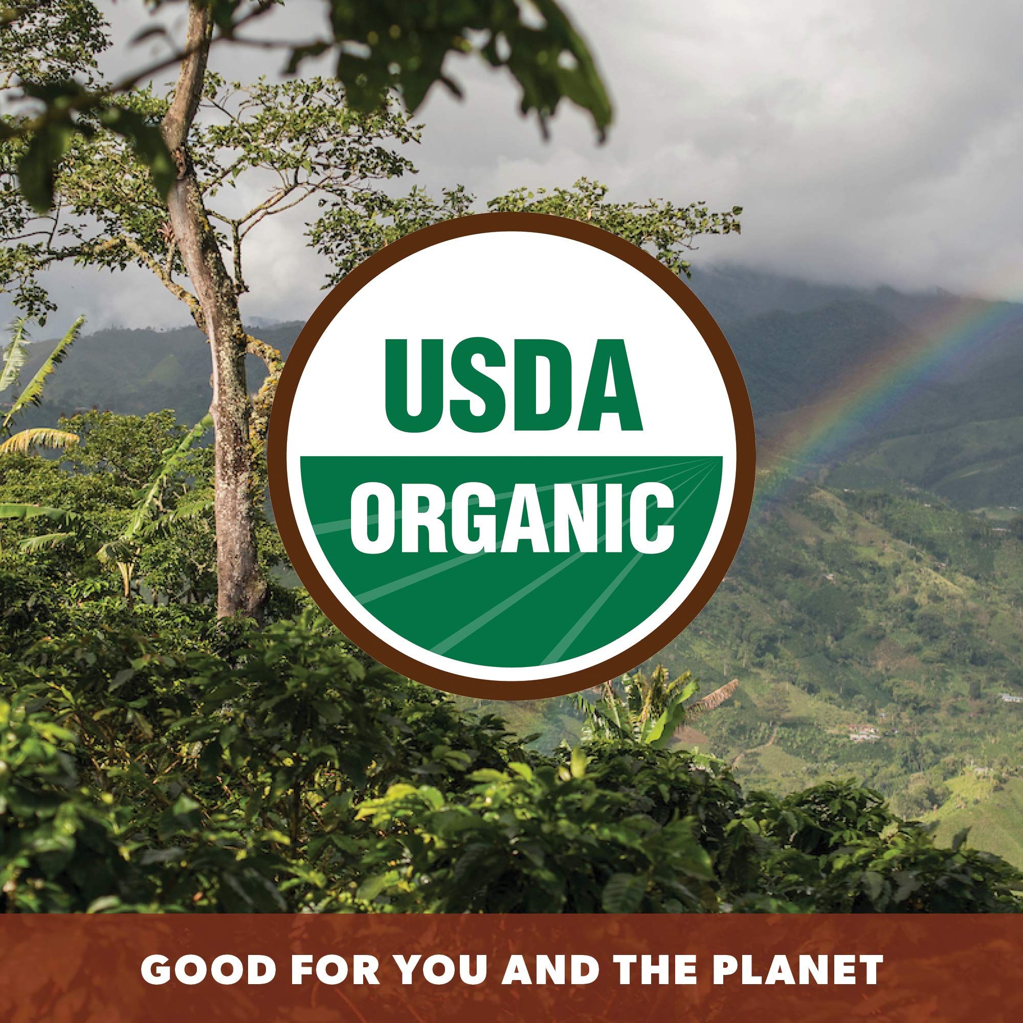 Low Acid Organic Coffee - Whole Bean, Mold-Free & Stomach Friendly by Java Planet, Coconut and Hazelnut, Medium Dark Roast, Arabica Gourmet Coffee