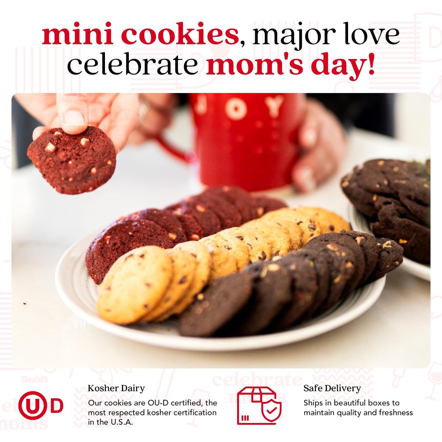 David’s Cookies Mother’s Day Mini Cookies Gift Sampler Tin - 14oz Fresh Baked Assorted Cookie Bites in Chocolate Chip, White Chocolate Chip & Red