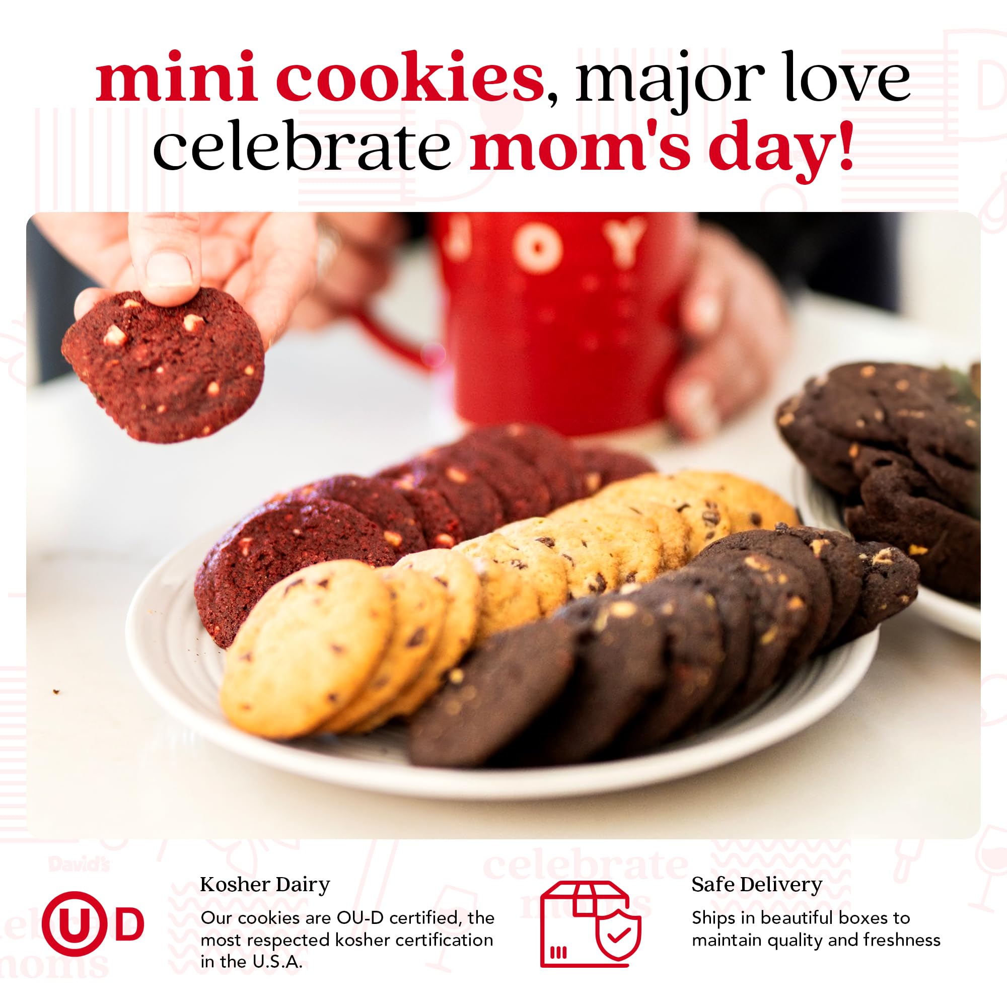 David’s Cookies Mother’s Day Mini Cookies Gift Sampler Tin - 14oz Fresh Baked Assorted Cookie Bites in Chocolate Chip, White Chocolate Chip & Red