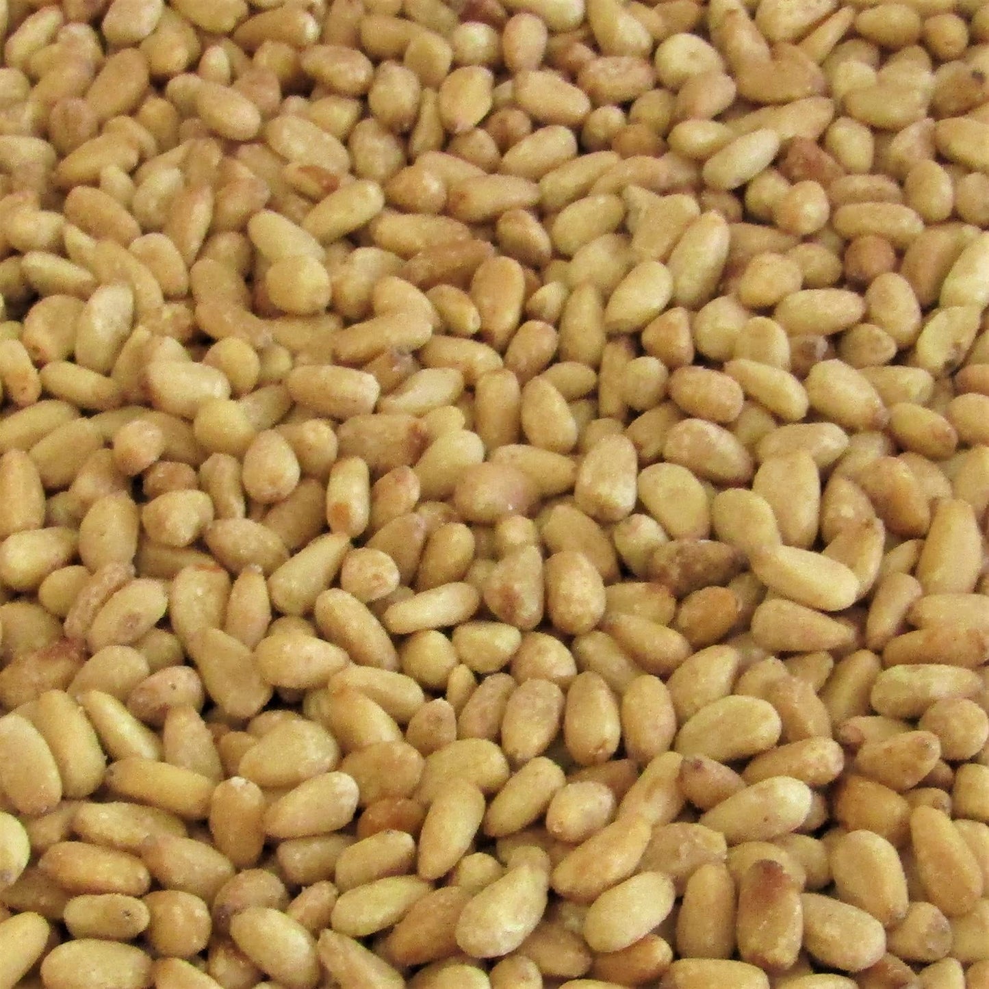 Gourmet Toasted Pine Nuts by It's Delish, 1 lb Bulk Bag - Premium Pine Nuts Pignolias Dry Roasted - Healthy Snack, Topping for Salad, Hummus, Granola