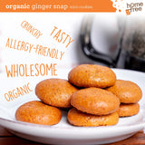 Homefree Treats You Can Trust Organic Ginger Snap Cookies, Gluten Free, Nut Free, 3x 1LB bags