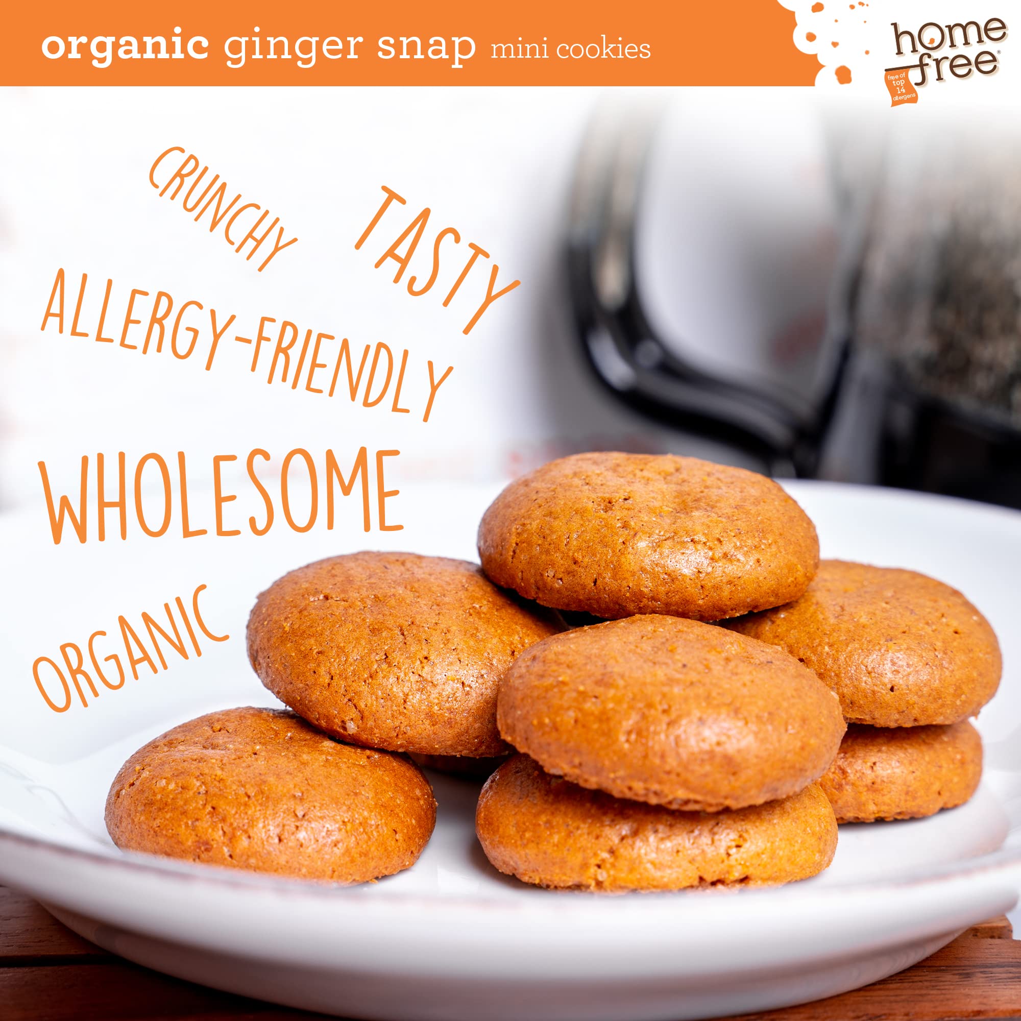 Homefree Treats You Can Trust Organic Ginger Snap Cookies, Gluten Free, Nut Free, 3x 1LB bags