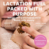 The Hampton Grocer Lacnola Lactation Granola - Galactagogue Superfood Blend with Oats, Flax, Moringa, Almonds, Pumpkin Seeds & Coconut - Increase Milk