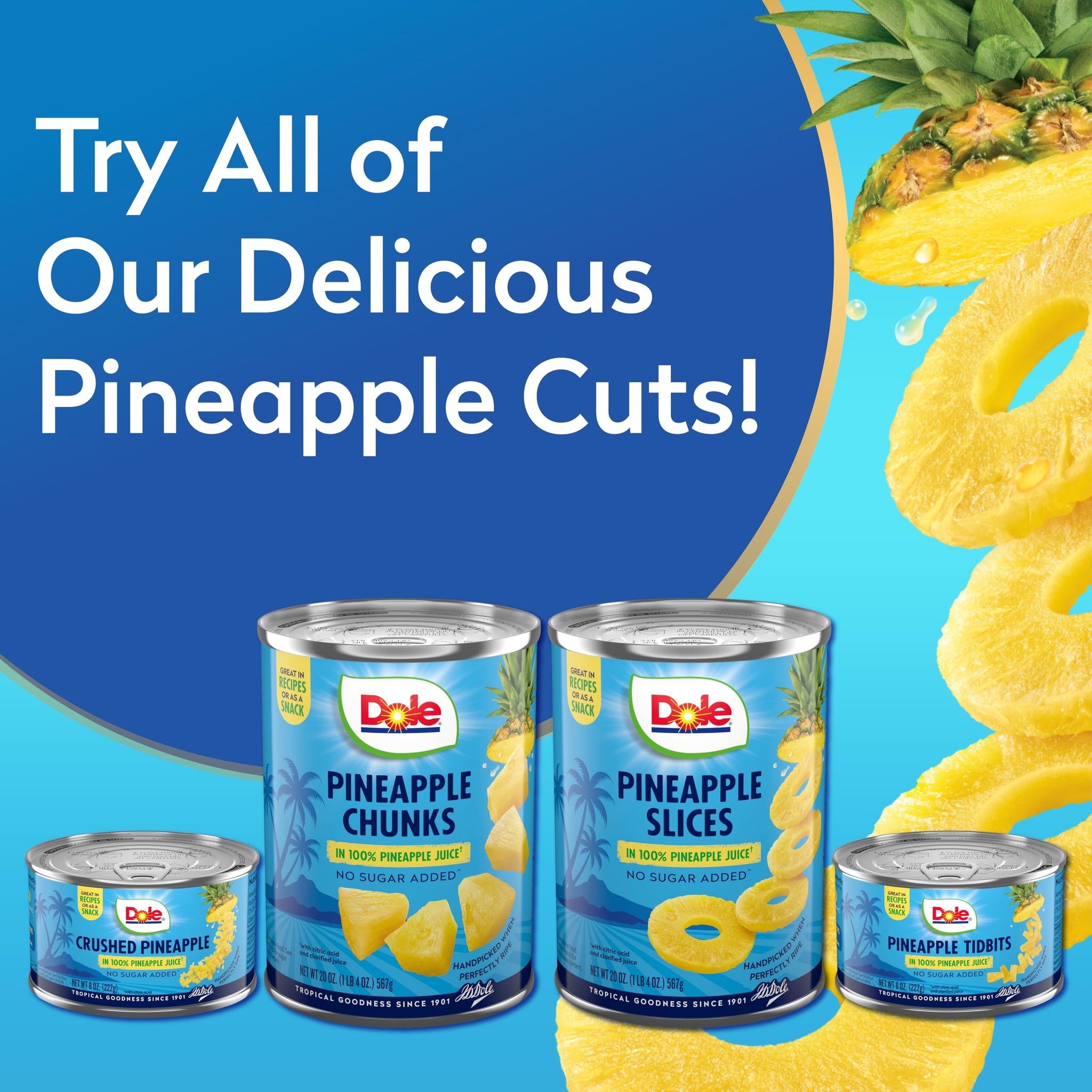 Dole Canned Fruit, Pineapple Slices in 100% Pineapple Juice, Gluten Free, Pantry Staples, 20 Oz, Packaging May Vary