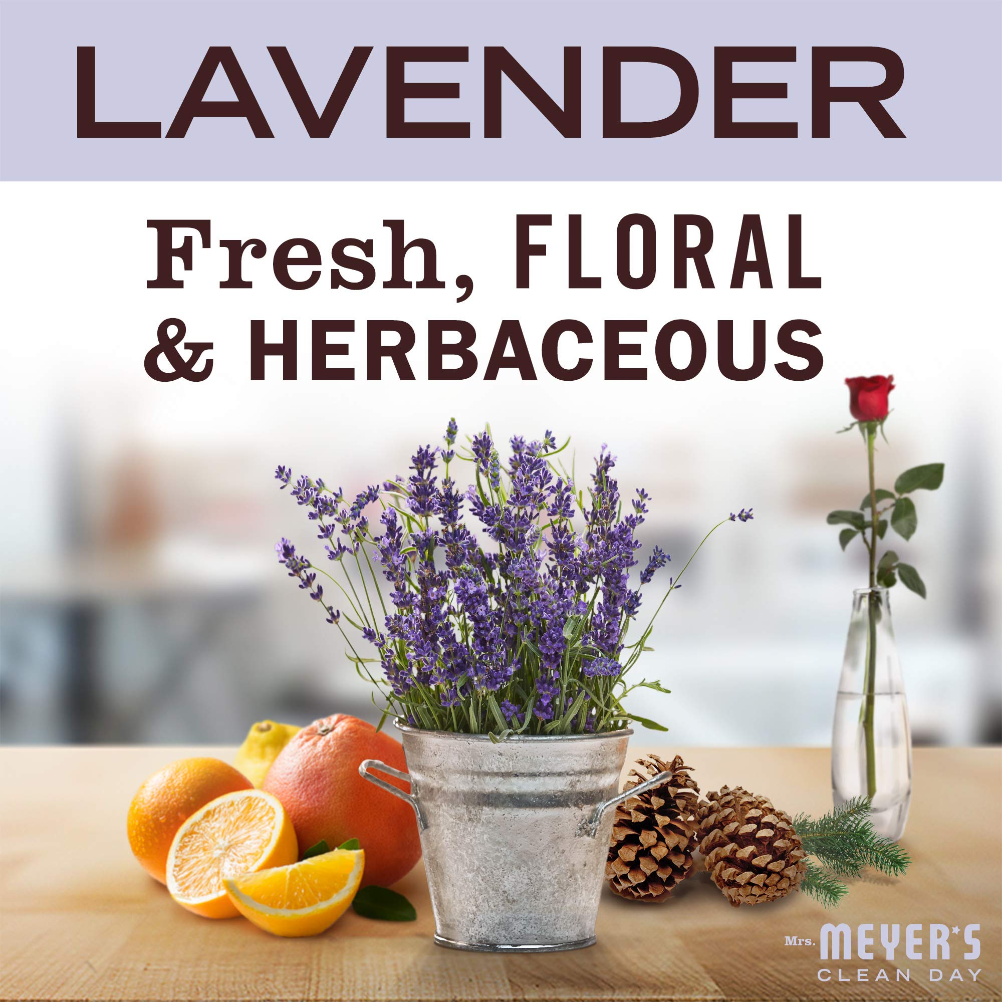 MRS. MEYER'S CLEAN DAY Probiotic Drain Maintenance Liquid, Lavender, Freshens Disposals and Drains, 32 Fl Oz