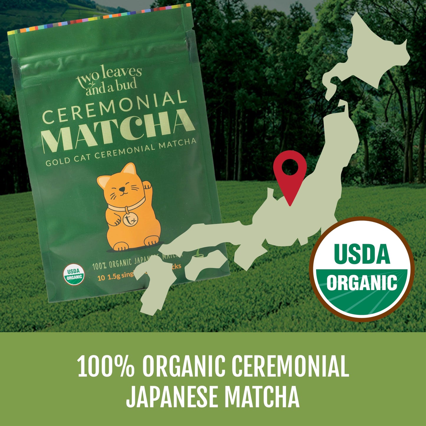 Two Leaves and a Bud Organic Ceremonial Matcha Green Tea, 100% Japanese Matcha powder, 1.5g Pre-Portioned Single-Serve Sticks, Pack of 10