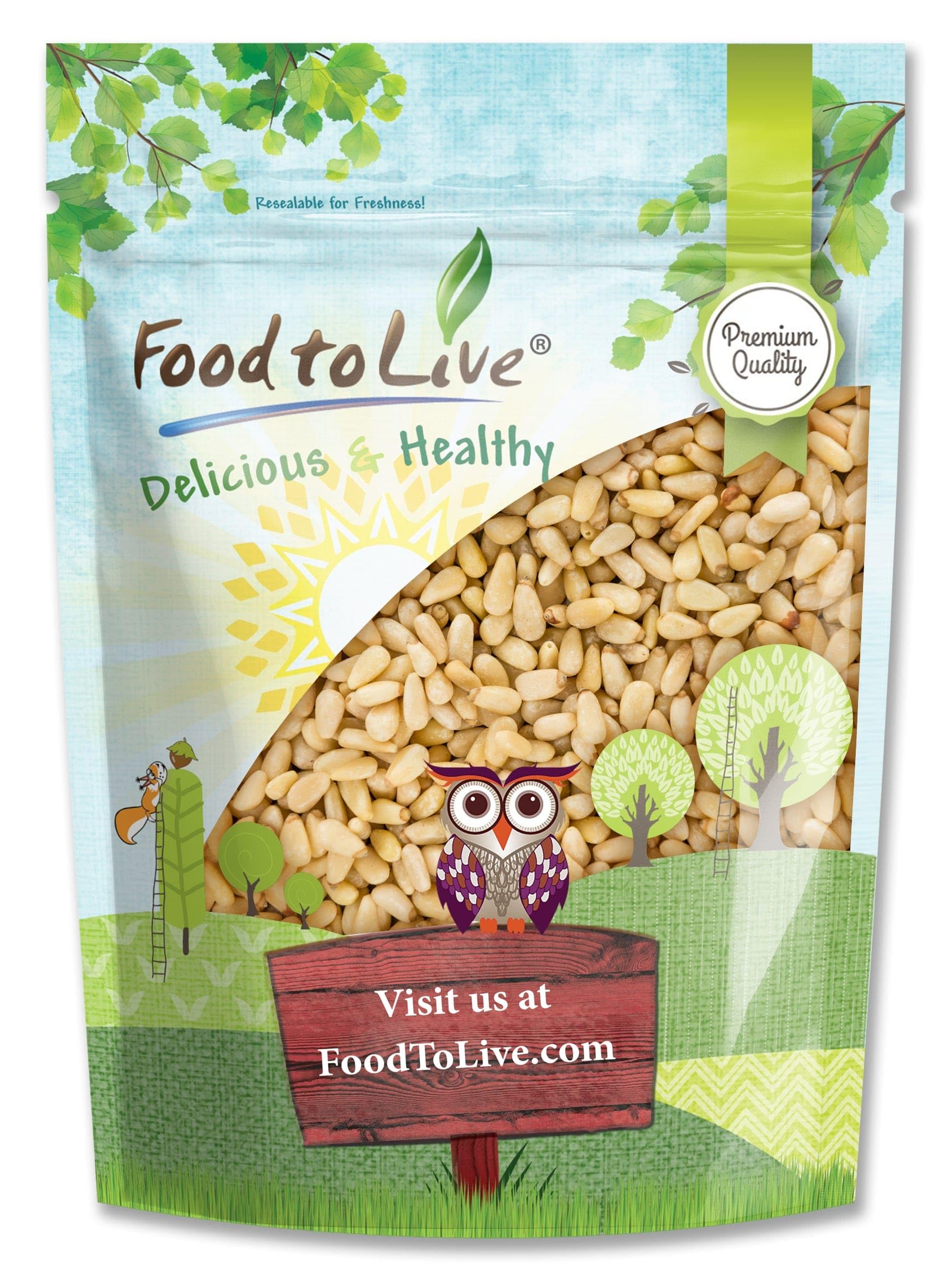 Food to Live - Pine Nuts, 5 Pounds Whole Raw Pignolias, Unsalted, Vegan, Kosher, Bulk. Rich in Vitamin E, Protein. Healthy Snack. Great for Pesto