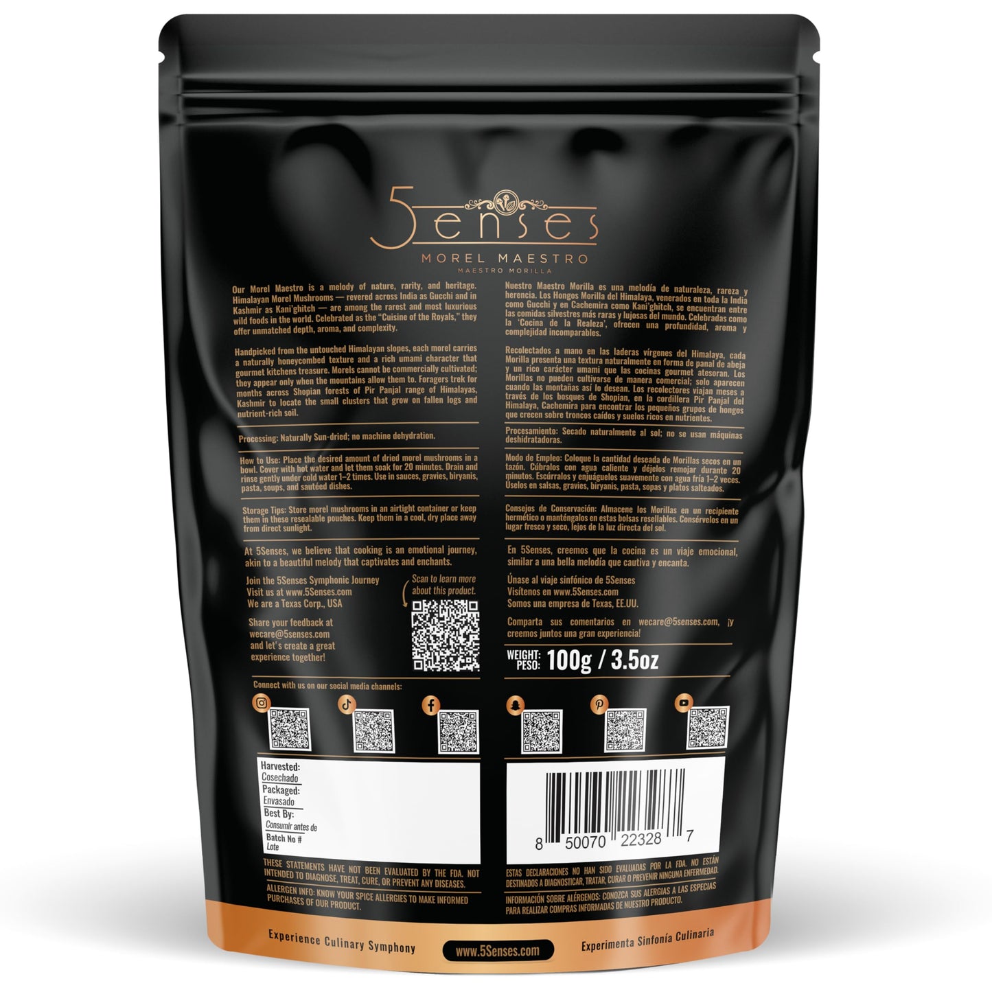 5Senses Himalayan Wild Morel Mushroom (Gucchi) | Hongo Morilla SILVESTRE DEL HIMALAYA | Morel Maestro | Premium Grade A Gucchi | Handpicked Dried