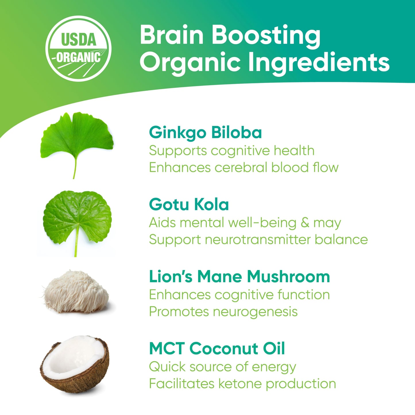 Brain Tea Focus & Memory - Brain Tea Organic Certified 4-in-1 Nootropic Herbal Supplement with Ginkgo Biloba, Gotu Kola, Lion’s Mane Mushroom, MCT