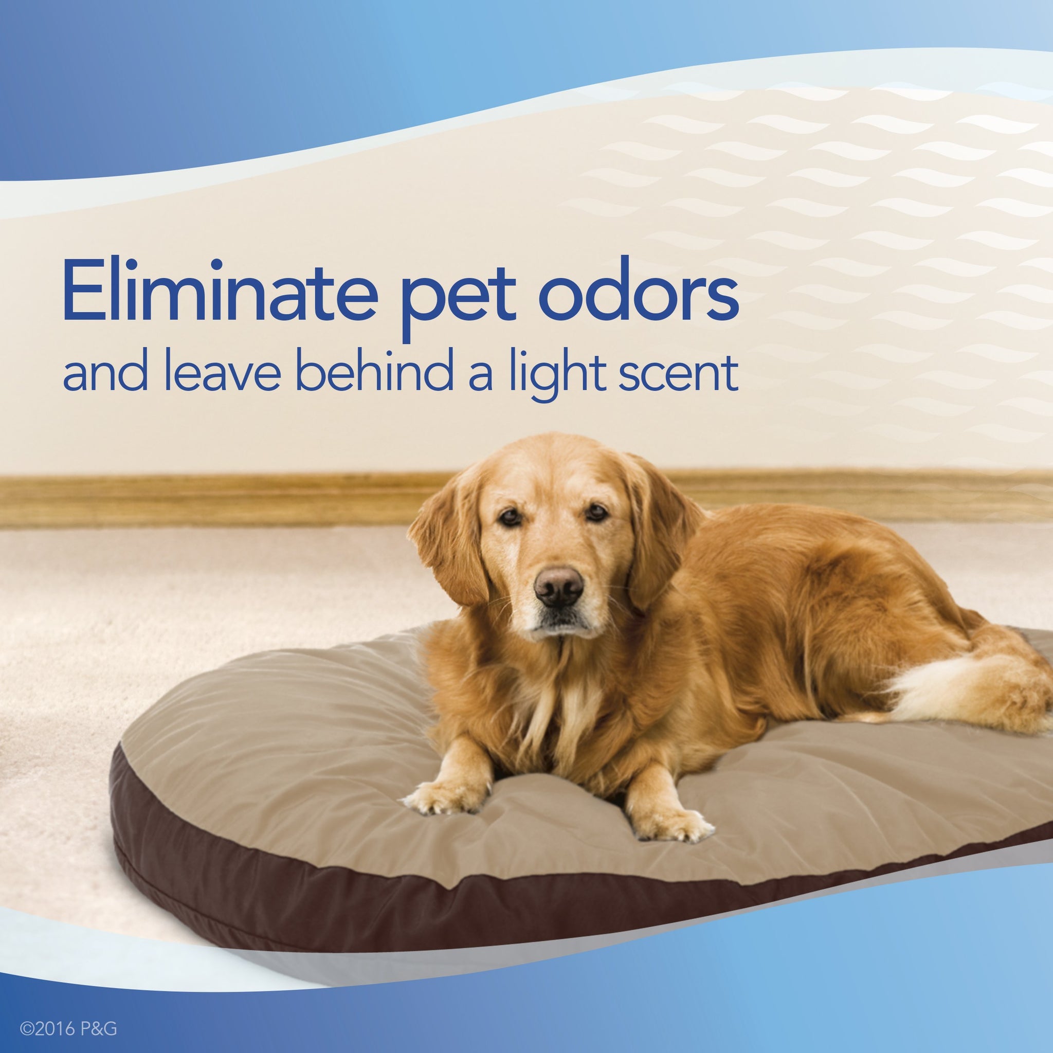 Febreze Fabric Pet Odor Eliminator 16.9 oz 500 ml "3-PACK"