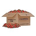 Strawberry Bulk Candy by Cambie, 6 lbs of Strawberry Candy with a Deliciously Sweet Hard Exterior with a Soft, Fruit-Filled Center, Bon Bons