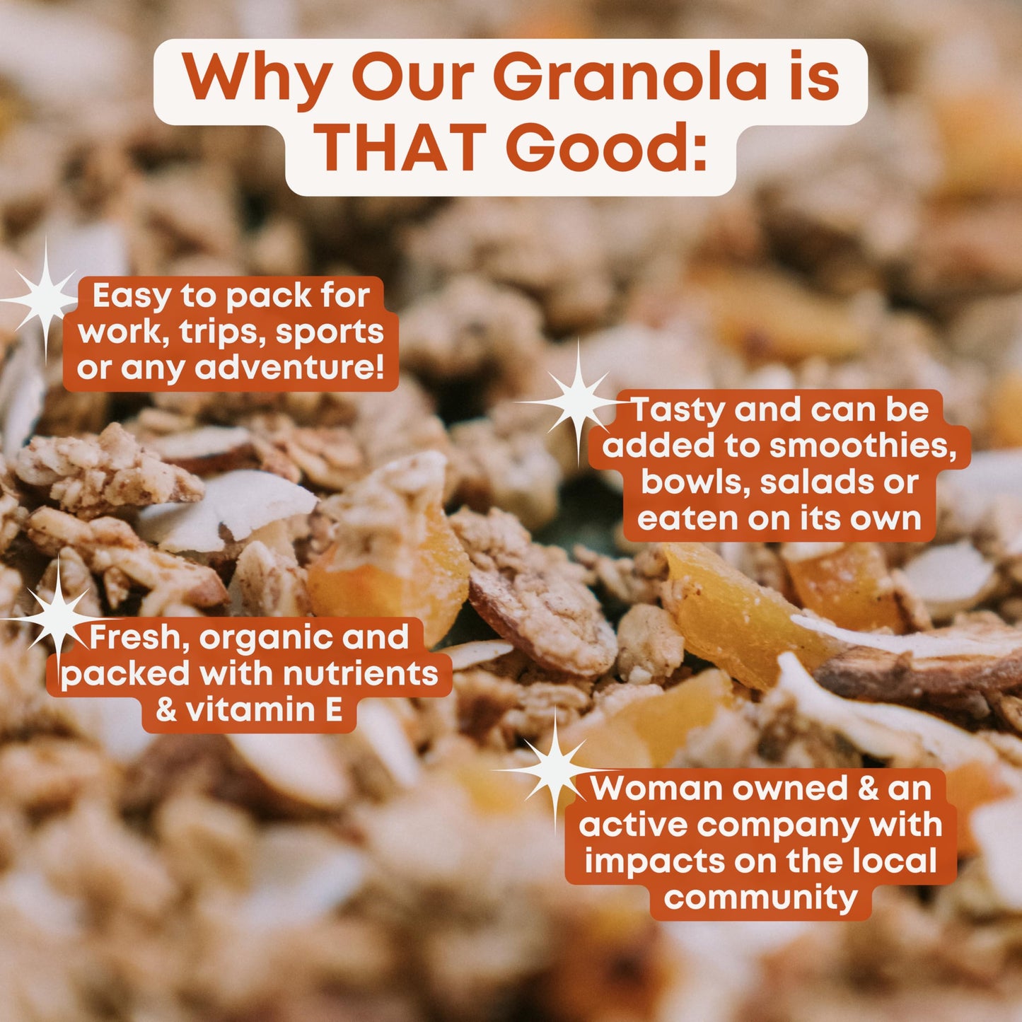 Apricot, Coconut, Almond Granola Clusters - 6 Pack of 4 oz Bags - Gluten Free Oats, High Protein, Low Sugar, Vegan, Dairy Free, Soy Free, Vitamin E