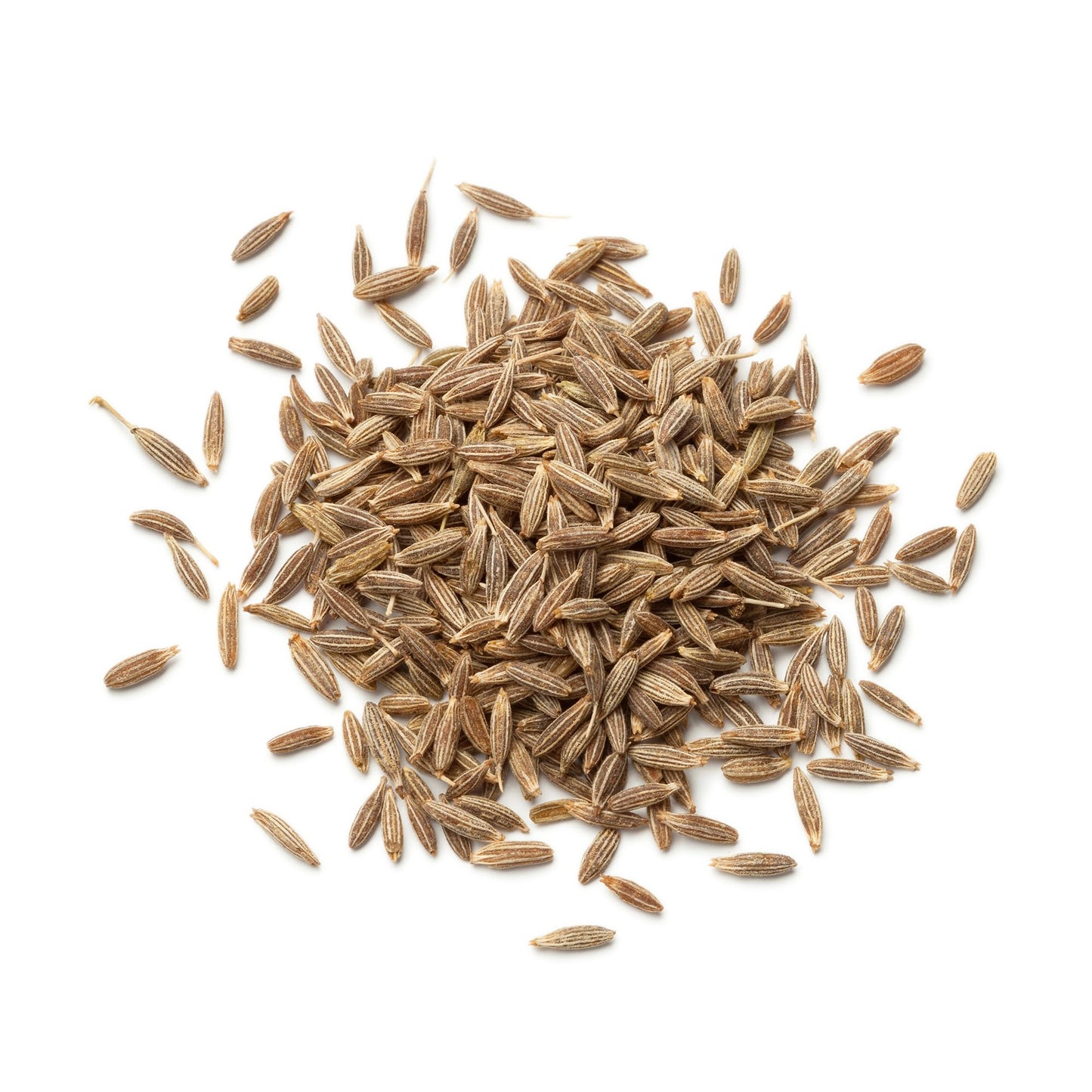 Earthborn Elements Ground Cumin 1 Gallon Bucket, Aromatic Spice, Warm Flavor