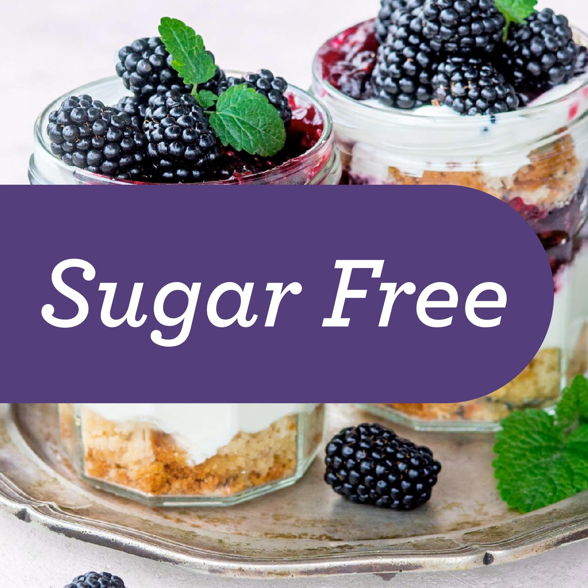 Skinnygirl Sugar Free Kosher Preserves, Blackberry, 10 Ounce