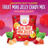 Fruit Jelly Candy | 24 Packs | Dye Free Candy Individually Wrapped | Vegan Gummies with Real Fruit Puree | Assorted Flavors | Gelatin Free Plant Based