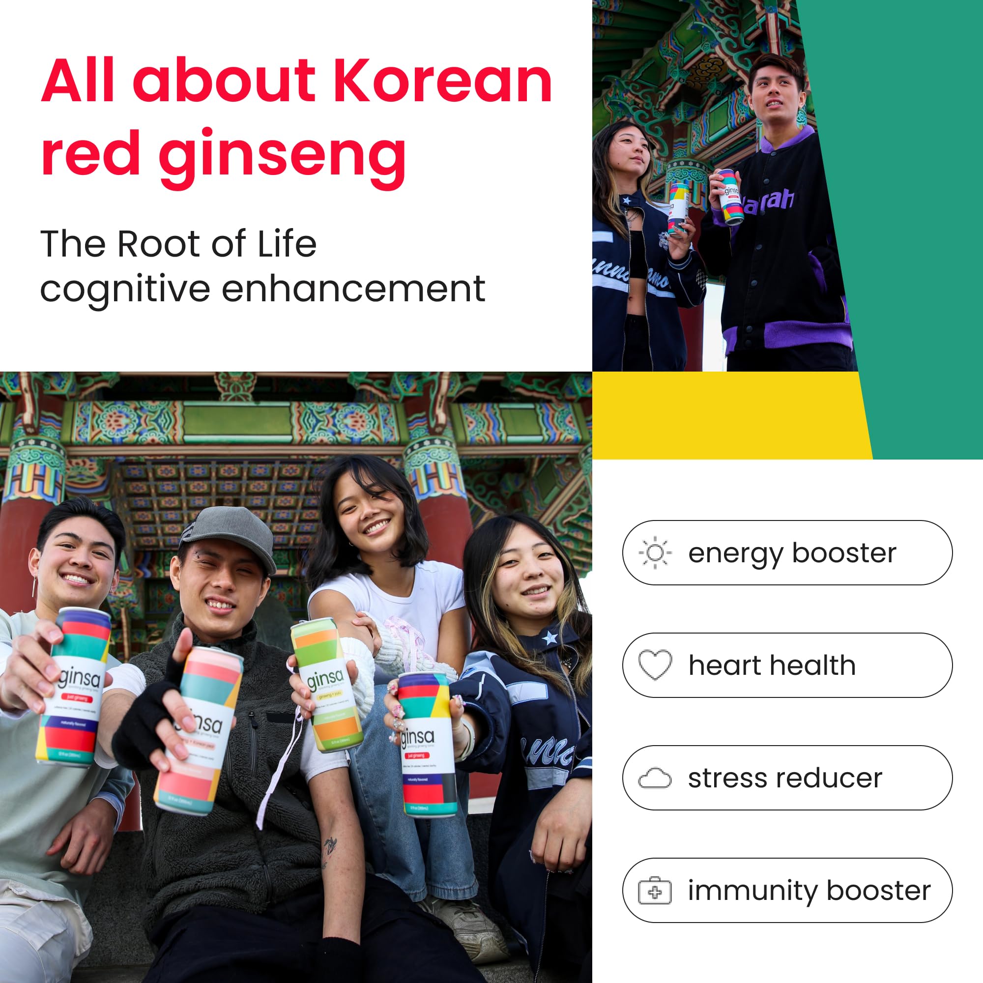 ginsa Sparkling Ginseng Energy Drink with Korean Red Ginseng | Natural Energy Booster | Non-GMO, Supports Focus & Clarity with Pure Ginseng Root, No
