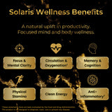 Solaris Mushroom Productivity Wellness Shots | Focus, Circulation, Memory | 4000mg of Cordyceps & Lion's Mane | Citicoline, L-Theanine, Vitamin B6/B12
