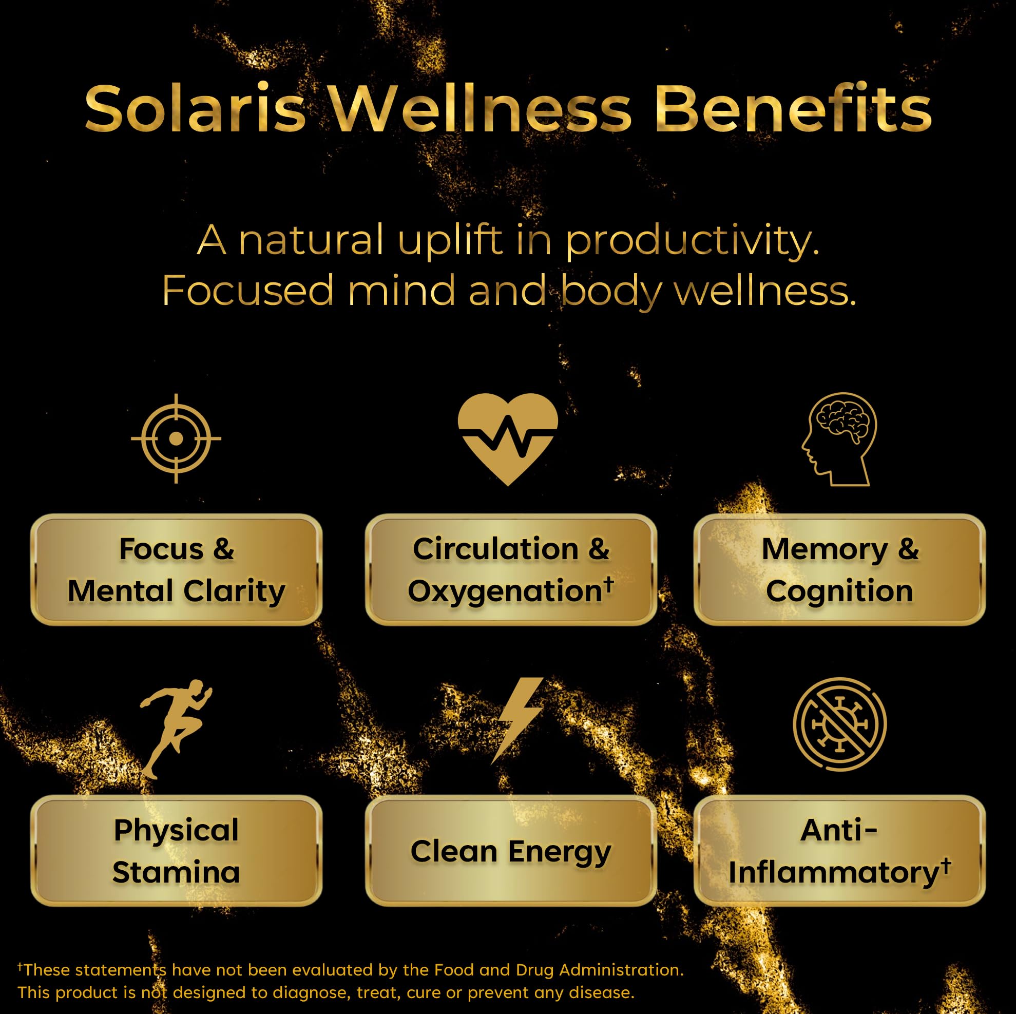 Solaris Mushroom Productivity Wellness Shots | Focus, Circulation, Memory | 4000mg of Cordyceps & Lion's Mane | Citicoline, L-Theanine, Vitamin B6/B12