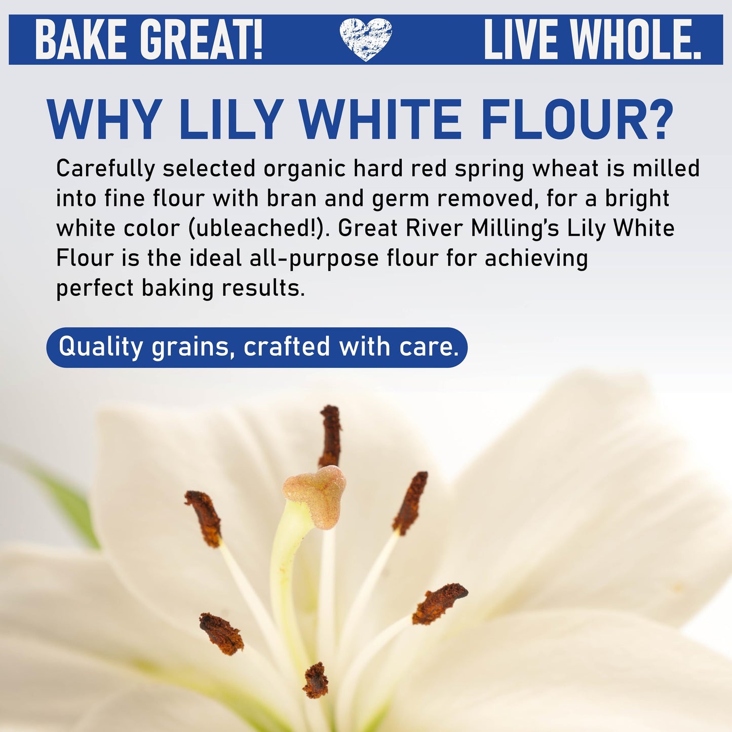 Great River Milling Lily White Organic All-Purpose Flour | Unbleached & Unbromated | Non-GMO, Kosher | Ideal for Bread, Cookies, Cakes, Pizza Dough