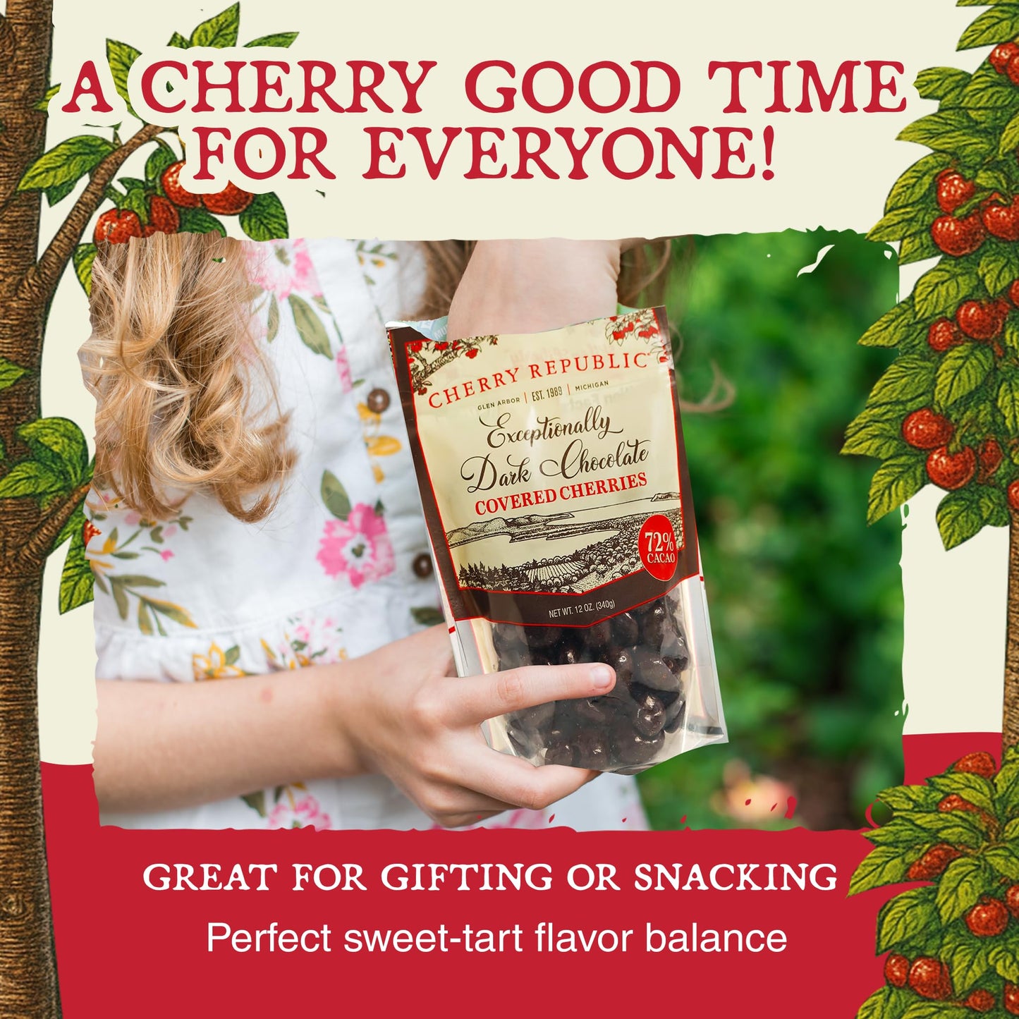 Cherry Republic Exceptionally Dark Chocolate Covered Cherries, 12 oz, Pack of 2 - Real Michigan Montmorency Tart Cherries with 72% Cacao, All-Natural