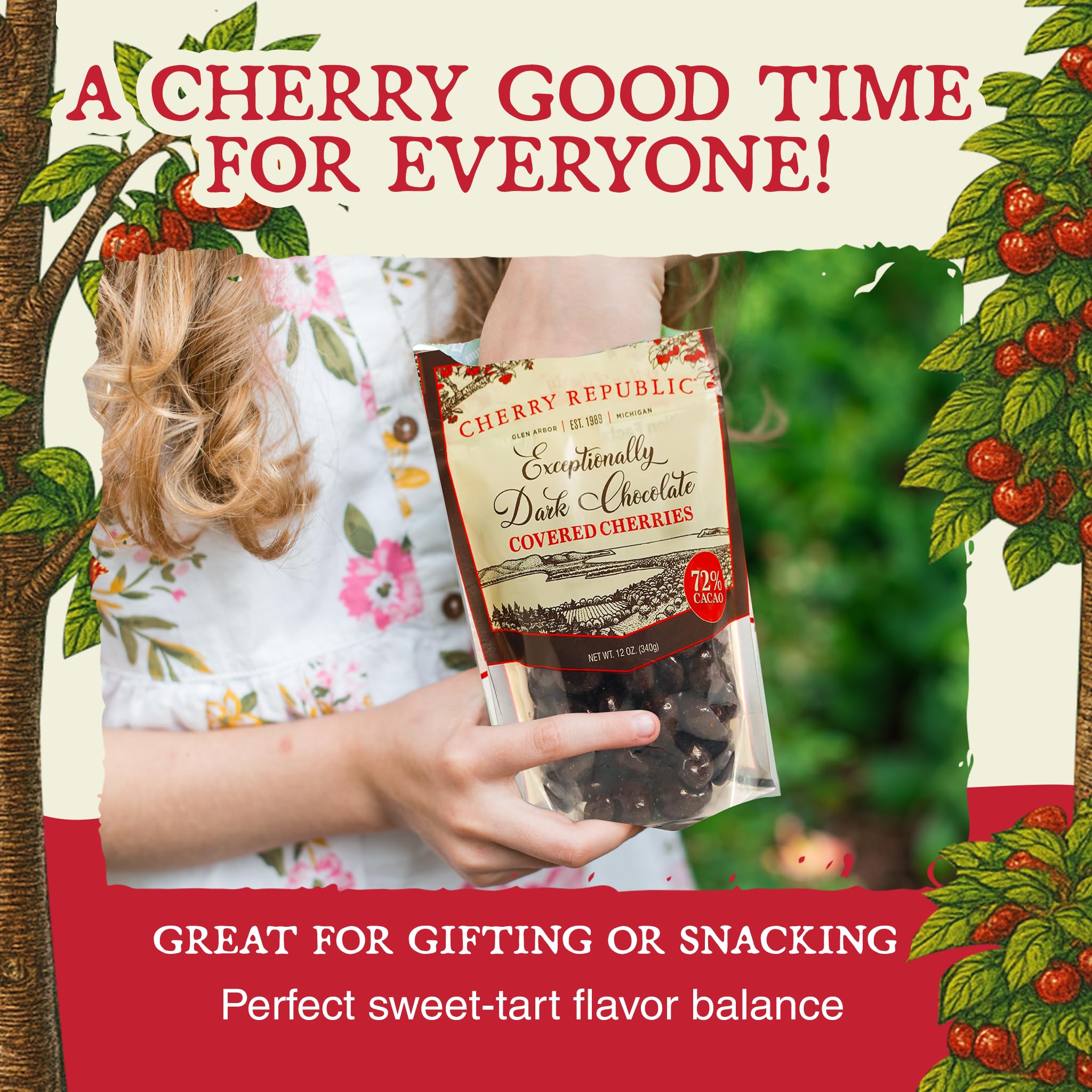 Cherry Republic Exceptionally Dark Chocolate Covered Cherries, 12 oz, Pack of 2 - Real Michigan Montmorency Tart Cherries with 72% Cacao, All-Natural