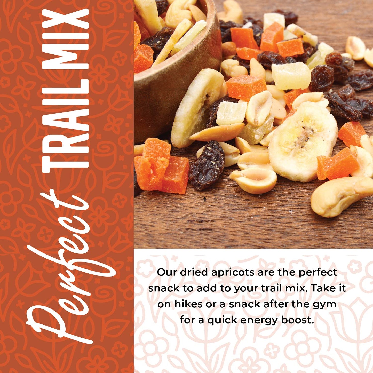 Dried Apricots No Sugar Added, 1 Pound. Turkish Apricots Dried Fruit, Dry Apricot Bulk, Apricots. All Natural, Non-GMO.