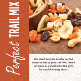 Dried Apricots No Sugar Added, 1 Pound. Turkish Apricots Dried Fruit, Dry Apricot Bulk, Apricots. All Natural, Non-GMO.