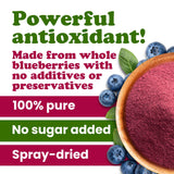 Food to Live Blueberry Juice Powder, 4 Pounds - 100% Pure, Antioxidant-Rich. Great for Smoothies, Spray-dried, No Sugar Added, Contains Maltodextrin