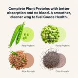 Goode Health Meal Replacement Shake, Moroccan Chocolate - 30g Plant-Based Protein, 180 Cal Per Serving - High Fiber, Zero Sugar, No Artificial