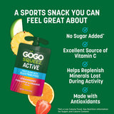 GoGo squeeZ No Sugar Added Active Fruit Blend with Electrolytes| 18-Count Variety Pack | Blueberry Strawberry Lemon & Strawberry Pineapple Orange |