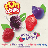 Funables Fruity Snacks, Mixed Berry Flavored Snacks, 0.8 oz 22 ct