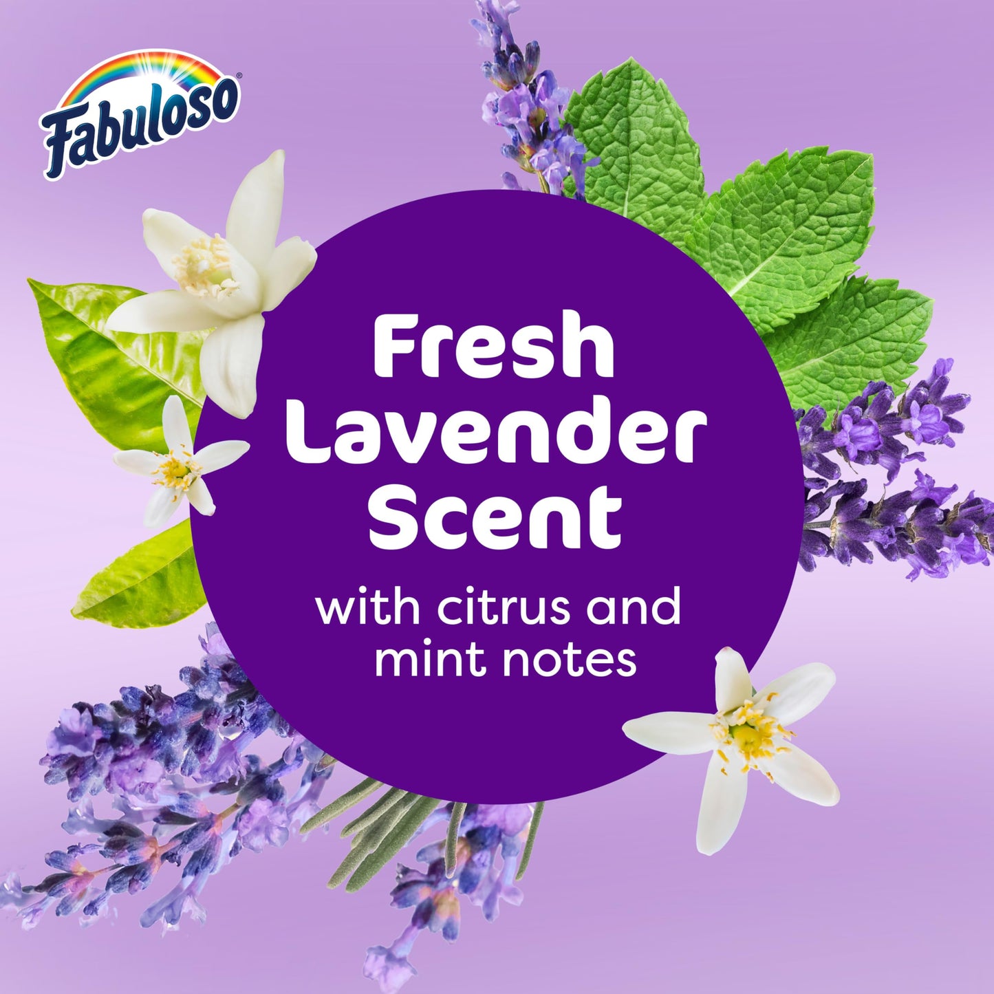 Fabuloso All-Purpose Cleaner, Lavender - 33.8 Fluid Ounce