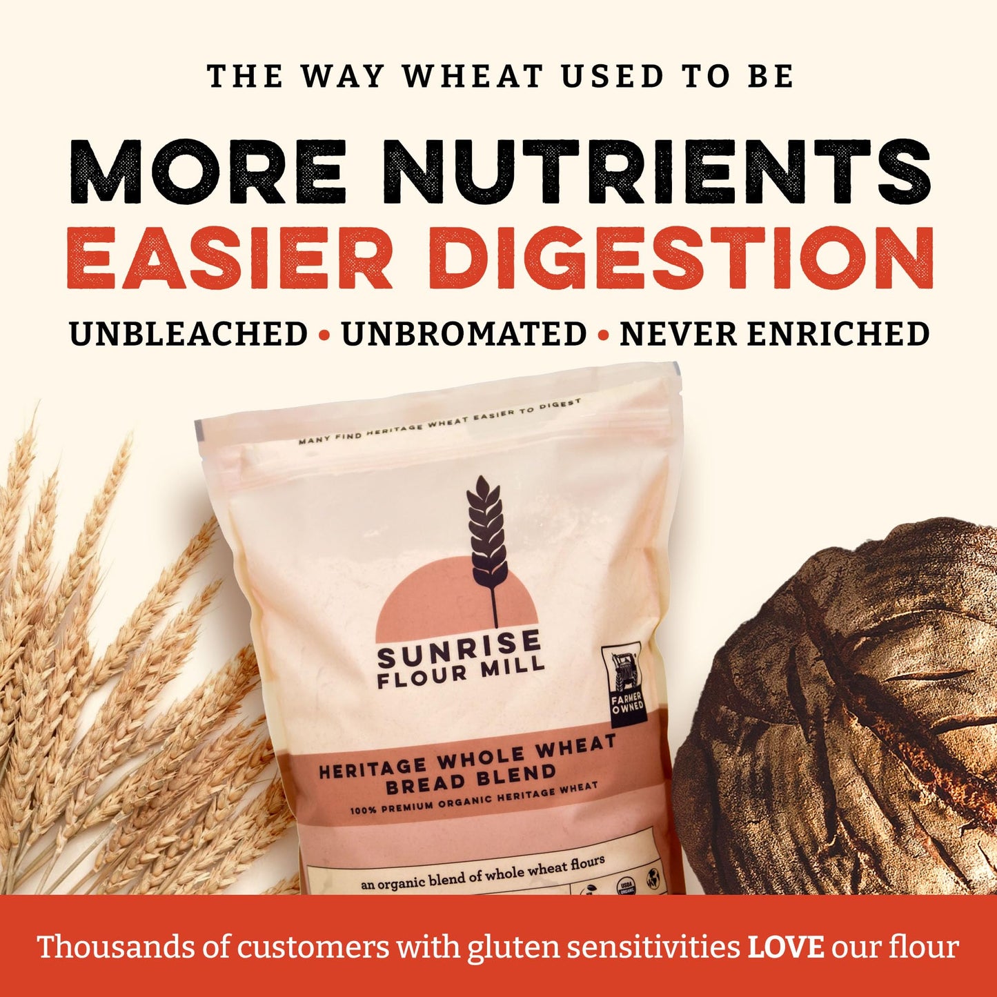Sunrise Flour Mill Heritage Whole Wheat Bread Blend - 5 lb | USDA Organic All Purpose Flour Unbleached - Non-GMO, Kosher, Grown Without Glyphosate
