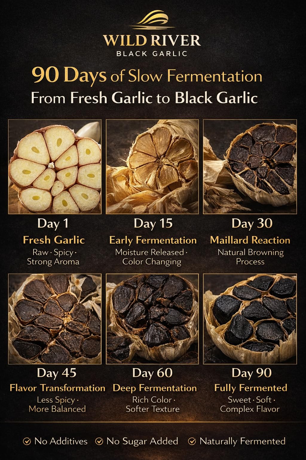 100% American Grown & Made - Wild River Black Garlic - Premium Black Garlic Puree - Bulk Size (4.4 lb / 9 lb) - Naturally Aged Gilroy California
