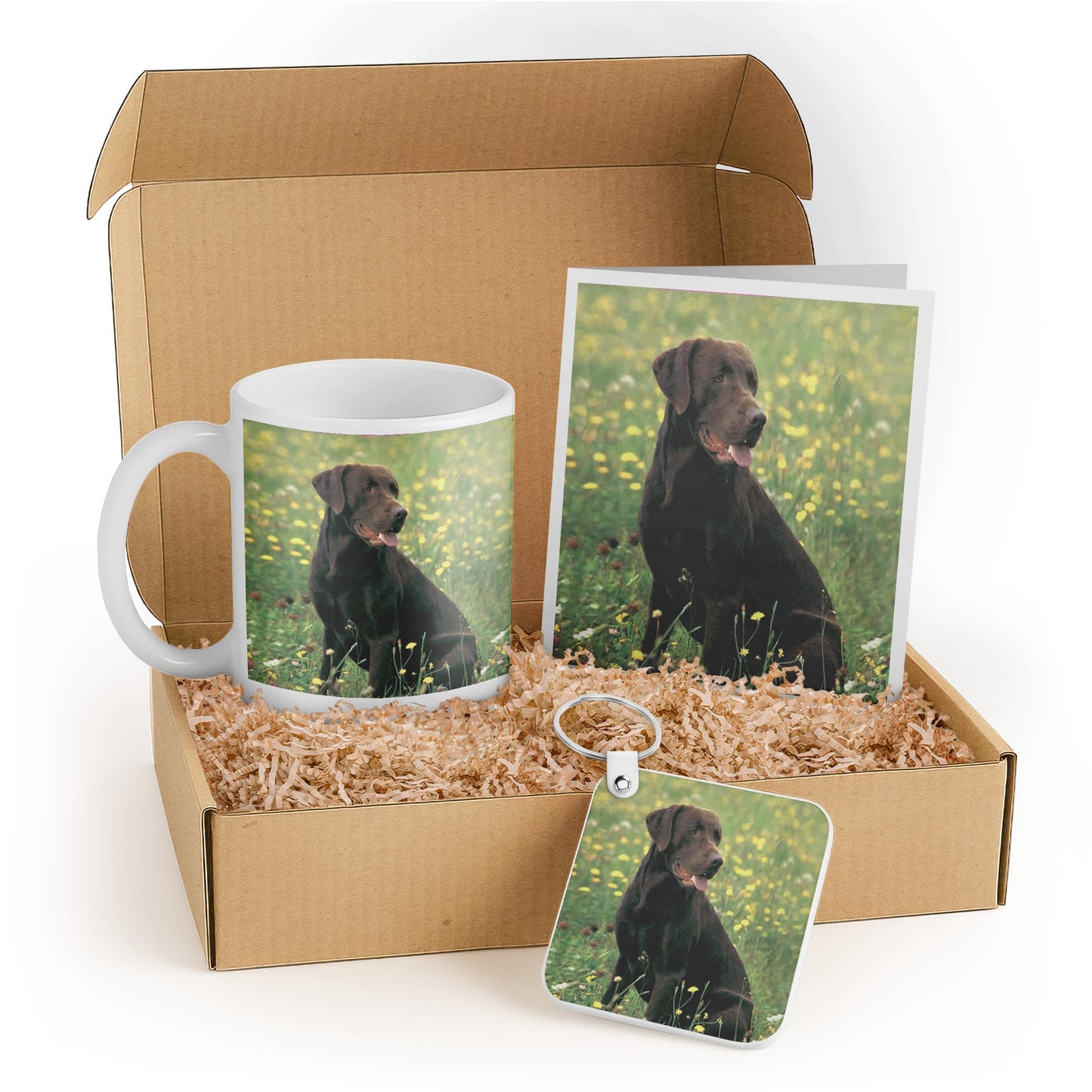 3dRose Chocolate Labrador Retriever Gift Set - Includes Mug, Keychain, and Card - Ideal Gift for Dog Lovers, Birthdays, and Holidays