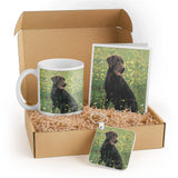 3dRose Chocolate Labrador Retriever Gift Set - Includes Mug, Keychain, and Card - Ideal Gift for Dog Lovers, Birthdays, and Holidays