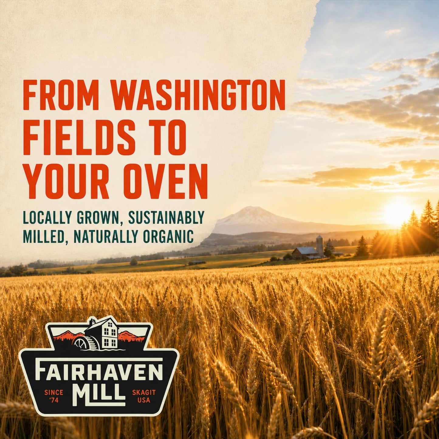 Fairhaven Mill Fine Ground Whole Wheat Bread Flour - USDA Organic Certified and 100% Whole Grain - Superior Gluten Strength for Artisan Breads, Rolls