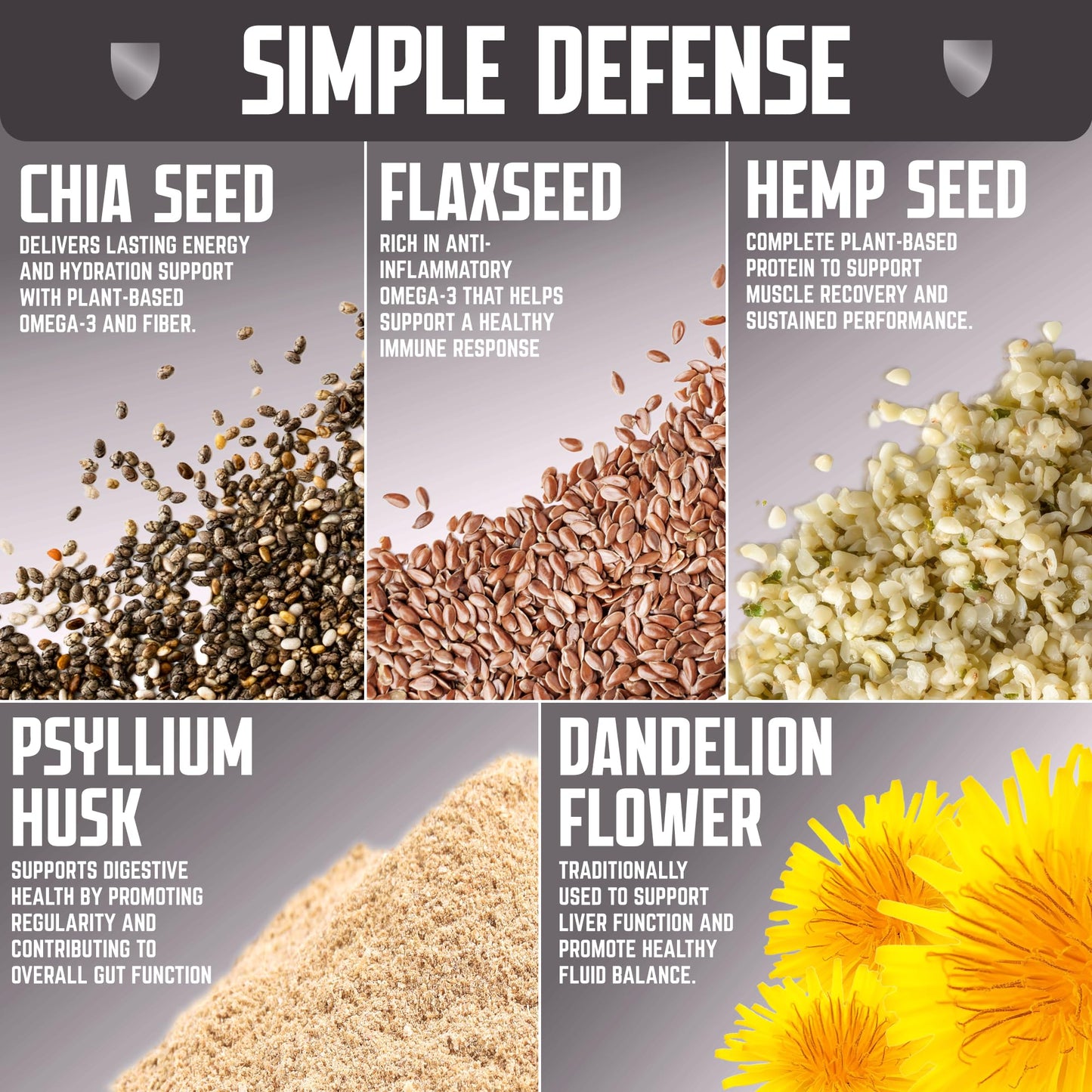 Defender Vegan Protein Bar, Variety Pack, Plant Based Snack or Breakfast Bars, Psyllium Husk, Dandelion Root, High Fiber, Non GMO, Kosher, No Stevia