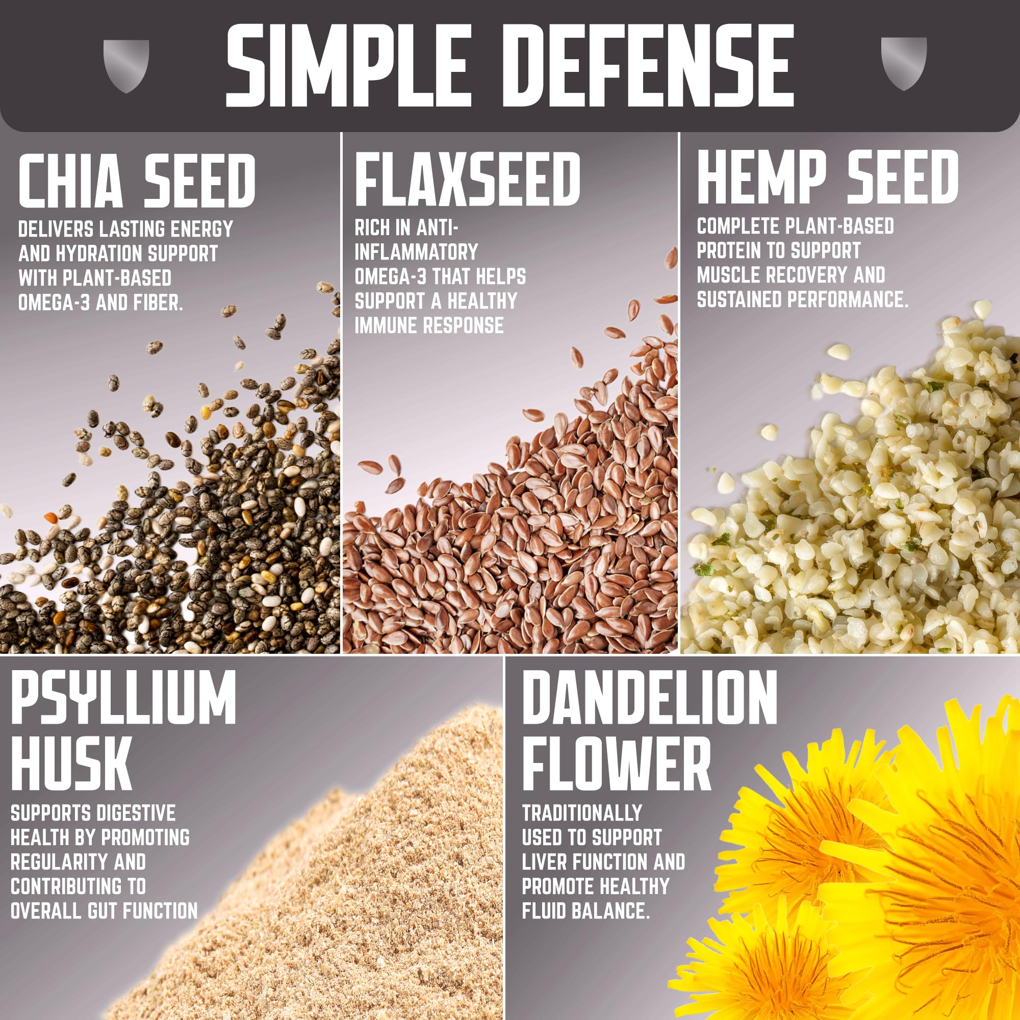 Defender Vegan Protein Bar, Variety Pack, Plant Based Snack or Breakfast Bars, Psyllium Husk, Dandelion Root, High Fiber, Non GMO, Kosher, No Stevia