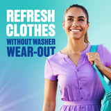 Clorox Refreshables In Dryer Clothing Refresher, Spring Fresh, 30 Towelettes