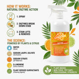 CITRATIDE Plant-Based Couch Cleaner & Stain Remover Spray - Upholstery & Fabric Cleaner for Sofas, Couches & Car Interiors - Pet & Kid Safe