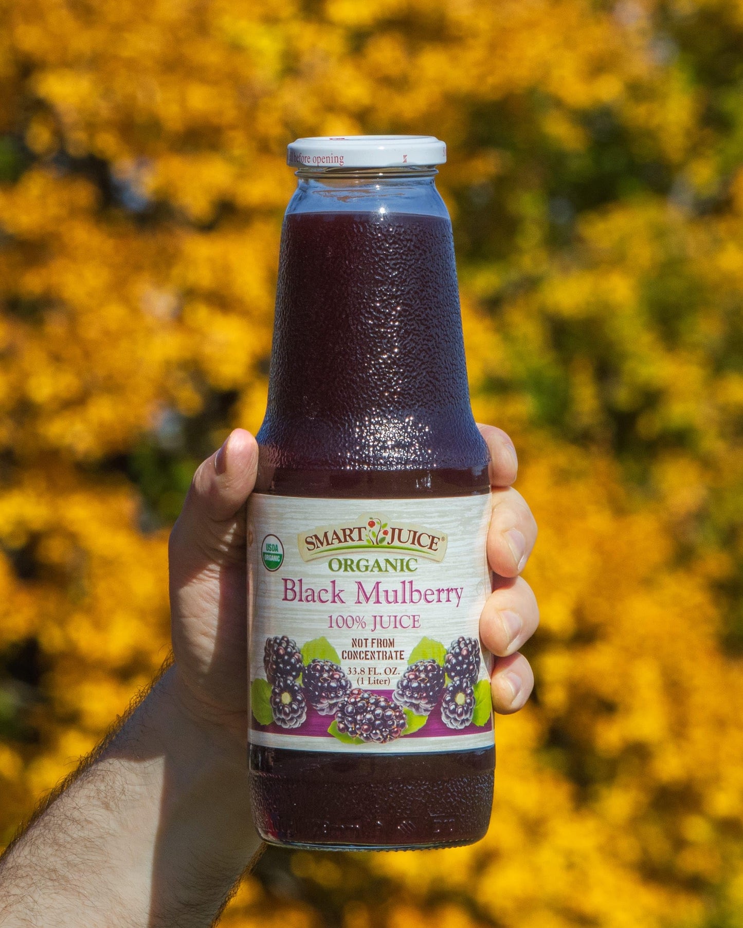 Smart Juice Organic Black Mulberry Juice - 33.8 fl oz (1L) - (case of 6)