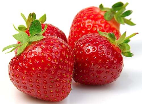 Fresh Frozen Organic Heirloom Strawberries by Northwest Wild Foods - Healthy Antioxidant Fruit Diet - for Smoothies, Pies, Jams, Syrups (9 Pounds)