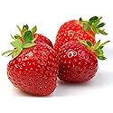 Fresh Frozen Organic Heirloom Strawberries by Northwest Wild Foods - Healthy Antioxidant Fruit Diet - for Smoothies, Pies, Jams, Syrups (9 Pounds)