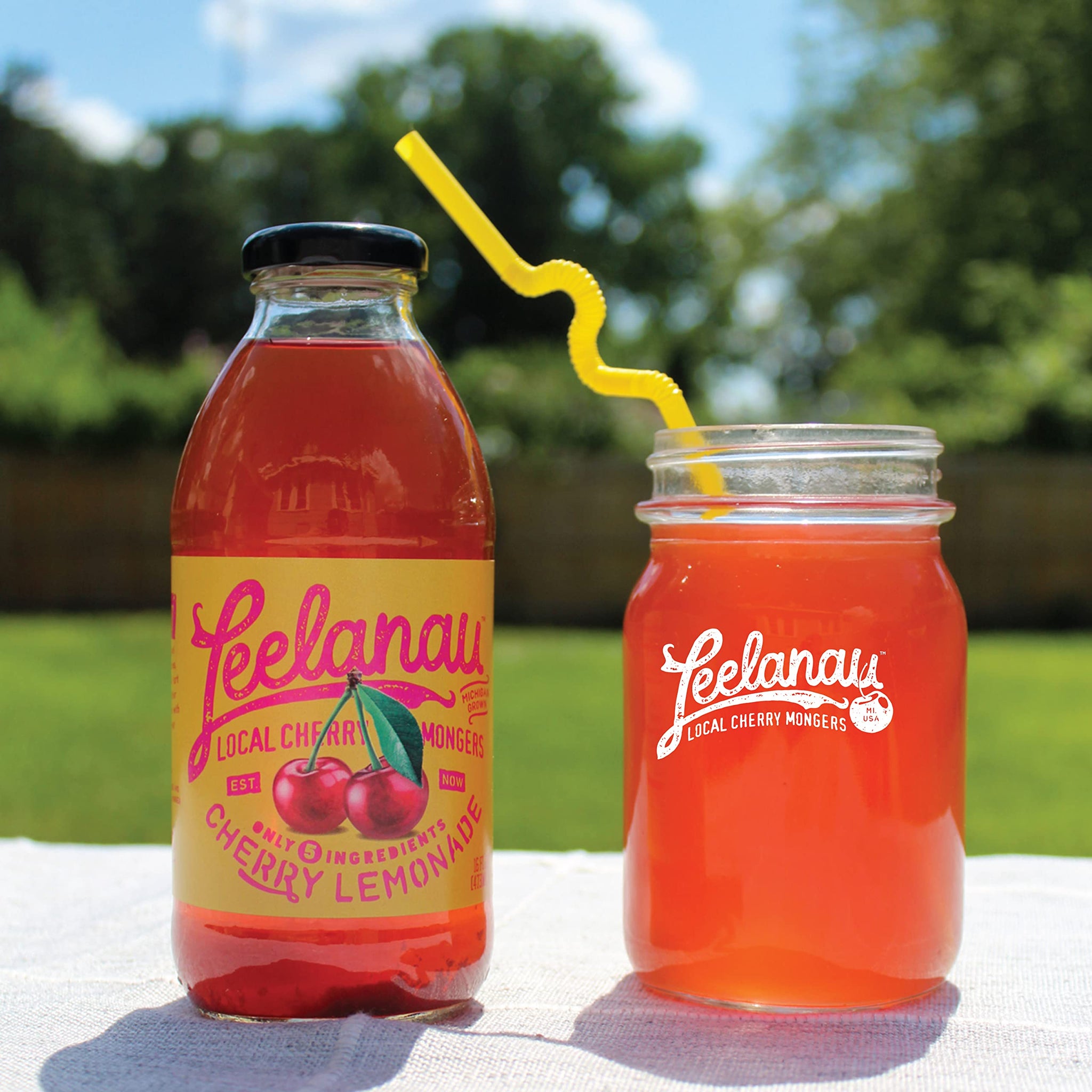 Leelanau Cherry Lemonade, 16 fl oz (Pack of 12)