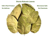 Foliumware Single Use Sal Leaf Bowls (5" inch, 20/pack) | Zero Waste, Biodegradable, Backyard Compostable | For Parties, Picnics, BBQ’s, Weddings