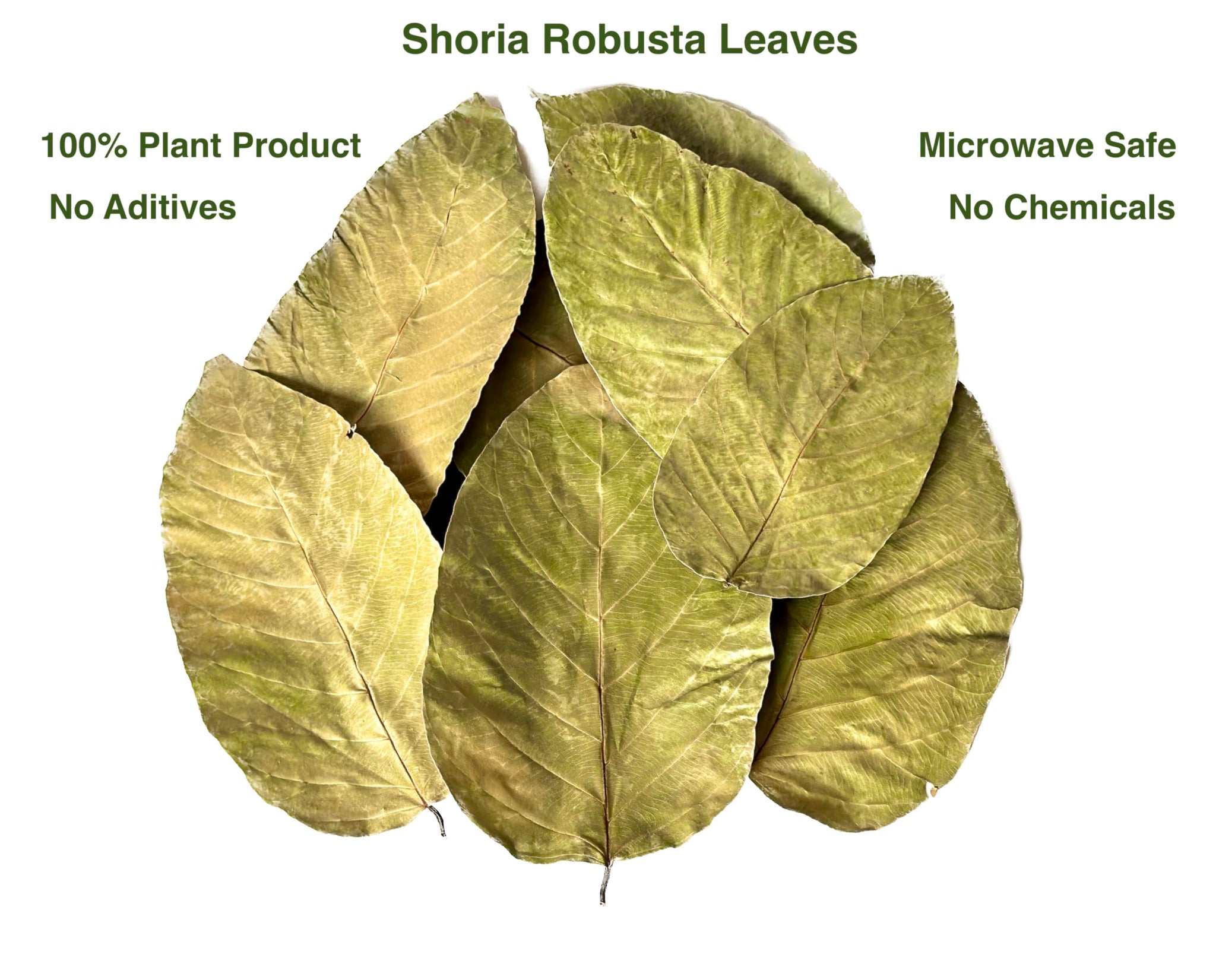 Foliumware Single Use Sal Leaf Bowls (5" inch, 20/pack) | Zero Waste, Biodegradable, Backyard Compostable | For Parties, Picnics, BBQ’s, Weddings