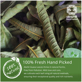 2.6oz Guava Leaves Dried, Hojas de Guayaba Secas, Dried Guava Leaf, Leaf Tea, Non-GMO, No Additives, Caffeine-free. by Akshit