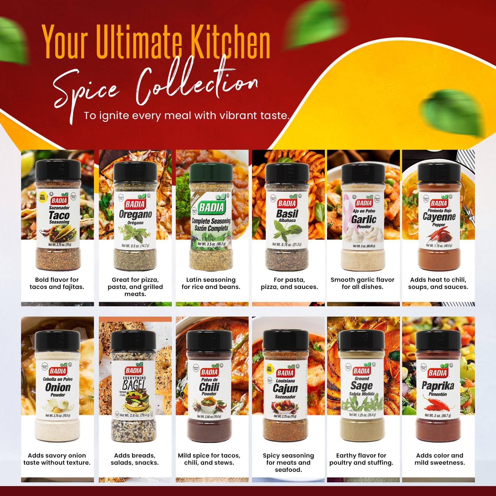 Spices and Seasonings Set - 12 Piece Spice Gift Set Plus D.F. LUXURY Measuring Spoon